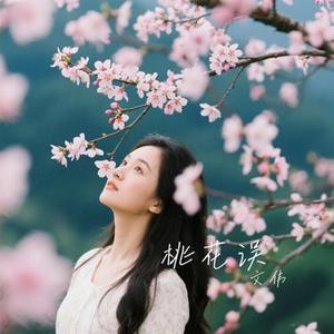 桃花误