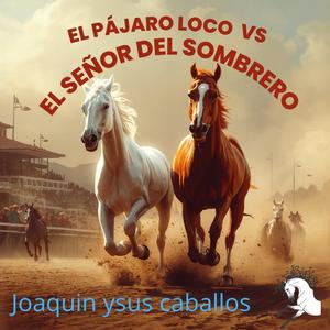 El Pájaro Loco vs El Señor del Sombrero