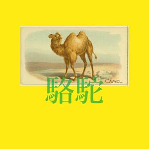 Camel 7