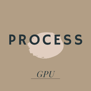 Process