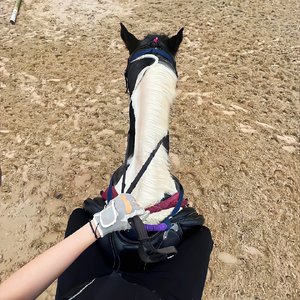 LaLaLa越鼓版（3D 环绕版）（Salao remix）