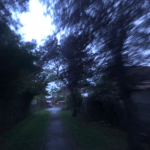 telephones (instrumental (slowed & reverb with rain))