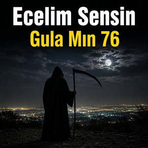 Ecelim Sensin
