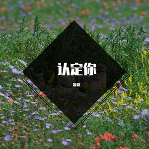 认定你