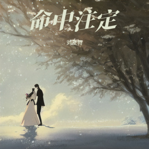 命中注定 (烟嗓版)