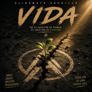Vida
