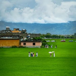 拖拉机老调唤醒乡村旧梦