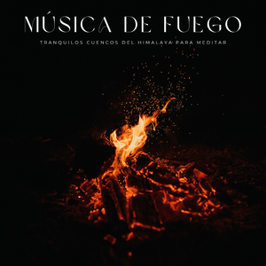 Meditación Trascendental