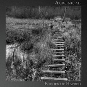 Echoes of Hatred