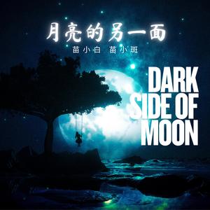 月亮的另一面 DARK SIDE OF MOON