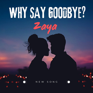 WHY SAY GOODBYE?