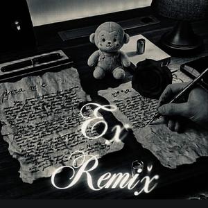 Ex (Danger boy sik & Dakira Remix)