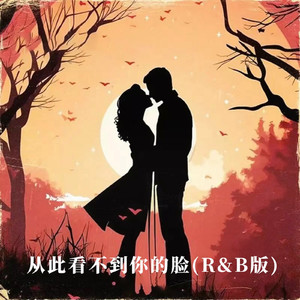 从此看不到你的脸(R&B版)