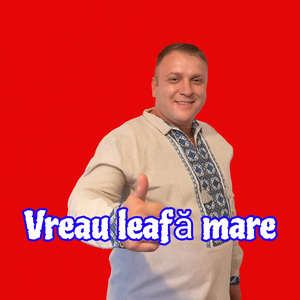 Vreau Leafa Mare