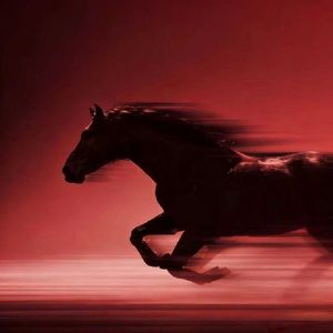 Almond blossom(PHONK)