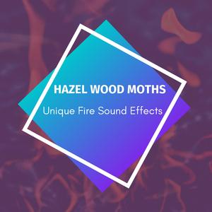 Fire Forest Delights