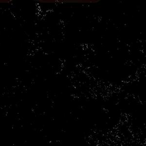 每天一定嗨嗨嗨