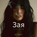 Зая (DJ女声纯享版)