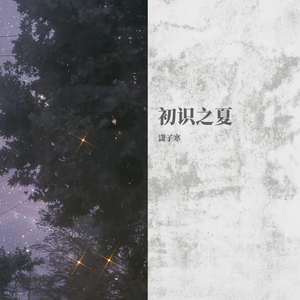 初识之夏