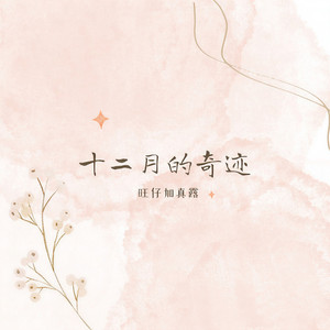 十二月的奇迹 (温柔女声版)