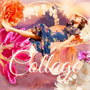 The Foggy Bridge of My Dreams