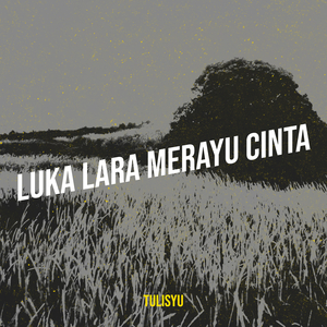 Luka Lara Merayu Cinta