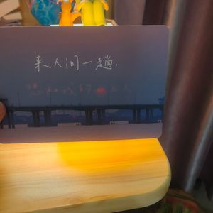 陪你看四十四次日落