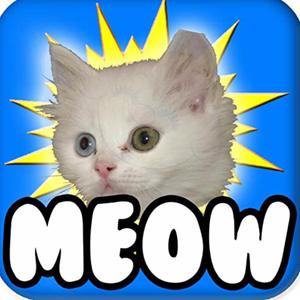 MEOW