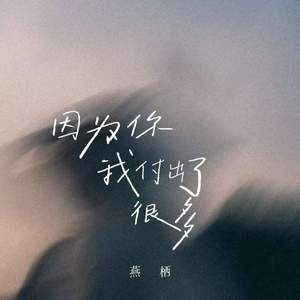 因为你我付出了很多 (DJ豪大大版)