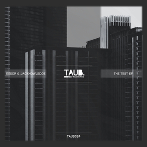 The Test (original mix)