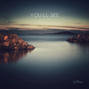 Carry On Little Bird