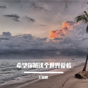 希望你被这个世界爱着（王展鹏 remix）