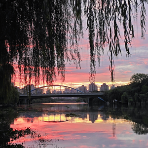 比初雪先来的是你