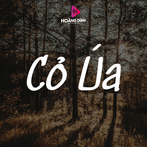 Tuý Ca