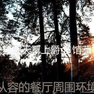 柔和的午餐时刻