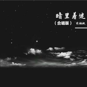 暗里着迷（合唱版）