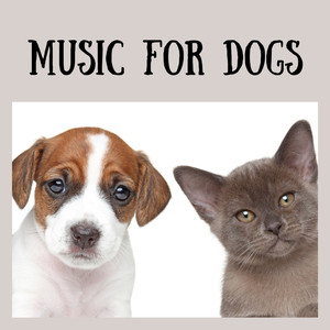 Pet Music