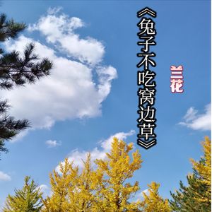 兔子不吃窝边草