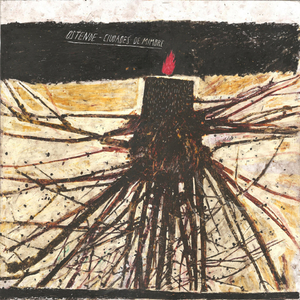 Malformaciones de una Reelección