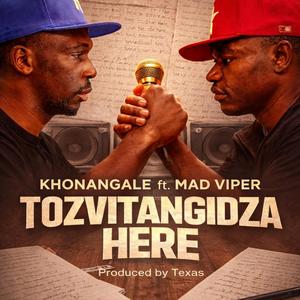 Tozvitangidza Here (feat. Khonangale & Mad Viper)