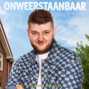 Onweerstaanbaar