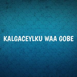 Kalgaceylku Waa Gobe