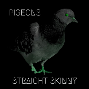 Pigeons