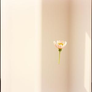 晚安，我還愛你