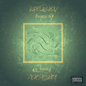 Кошка 69
