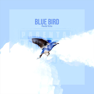 Blue Bird