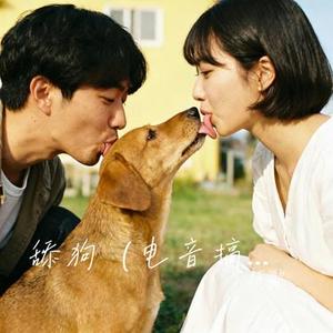 舔狗
