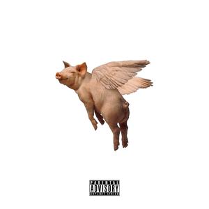 WHEN PIGS FLY