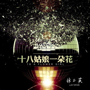十八姑娘一朵花（DJ沈念版）