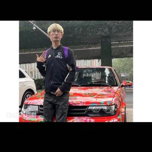 diss bsh-1（demo）